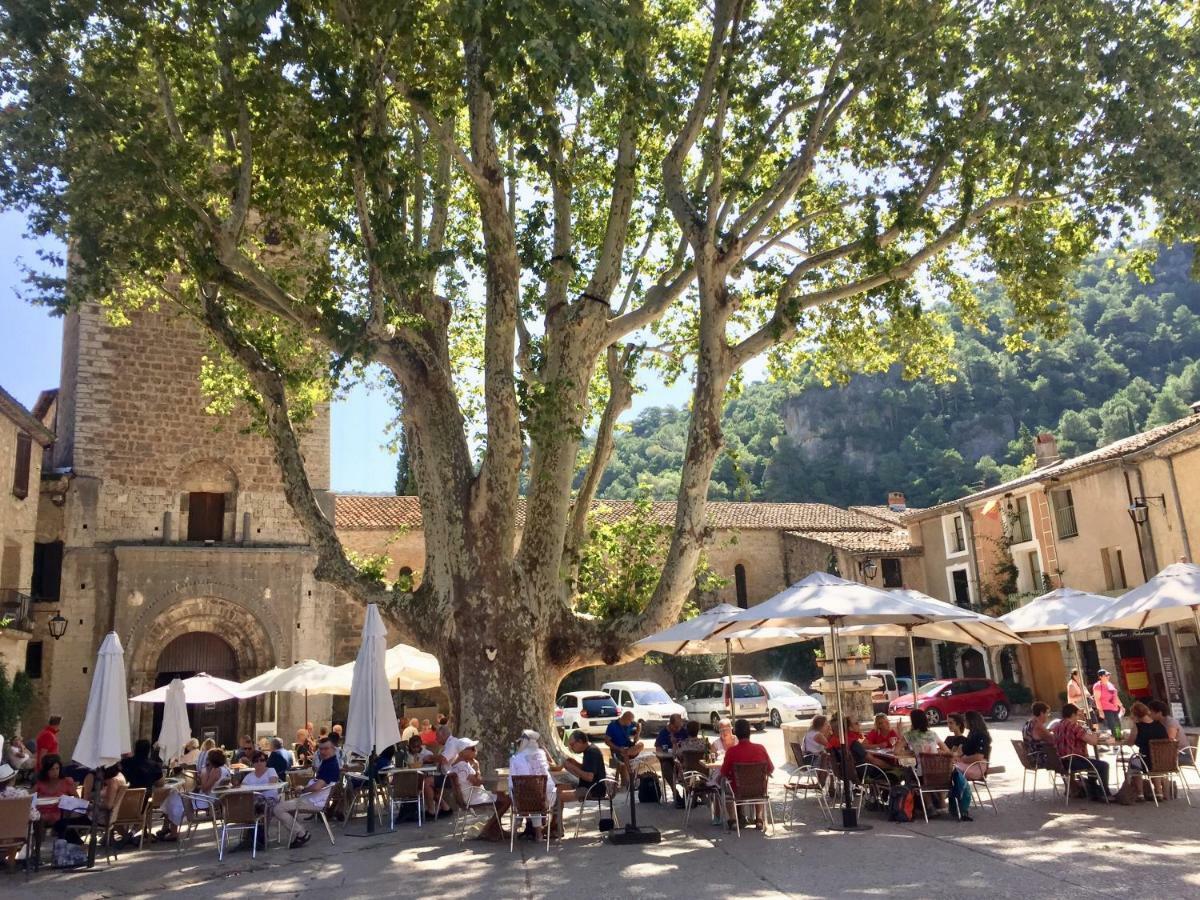 Charmante Maison A Saint Guilhem Le Desert Esterno foto
