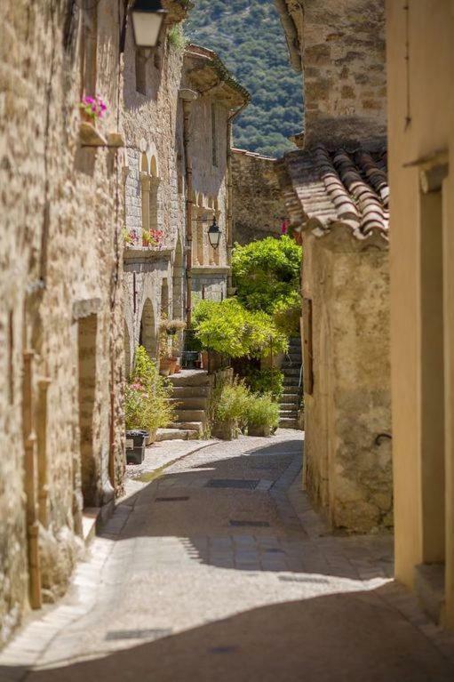 Charmante Maison A Saint Guilhem Le Desert Esterno foto